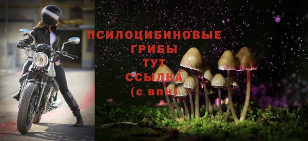 эйфоретик Алзамай
