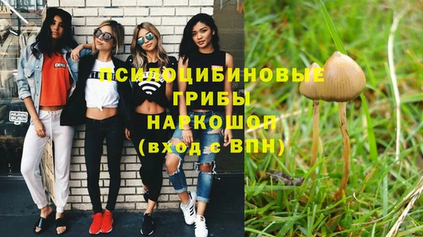 ешки Алексеевка