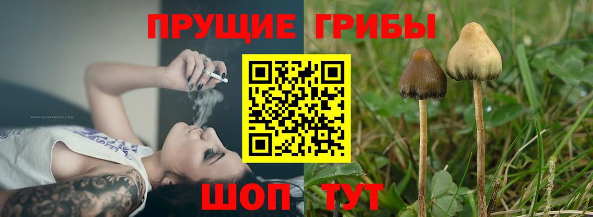 Галлюциногенные грибы мухоморы  Вход с VPN  Заволжье 