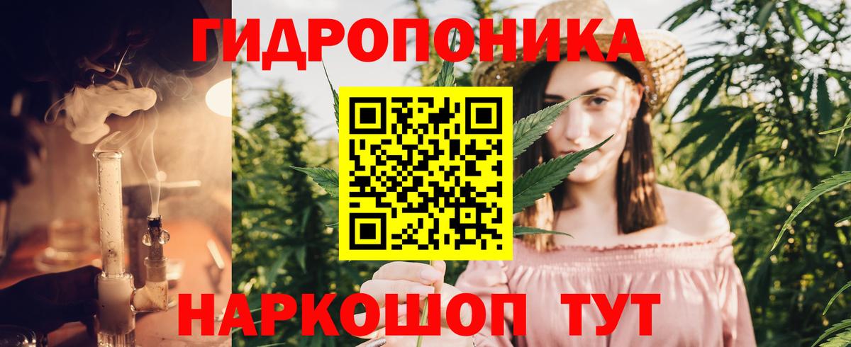 Канабис планчик  Вход с VPN  Бошки Шишки THC 21%  Заволжье 